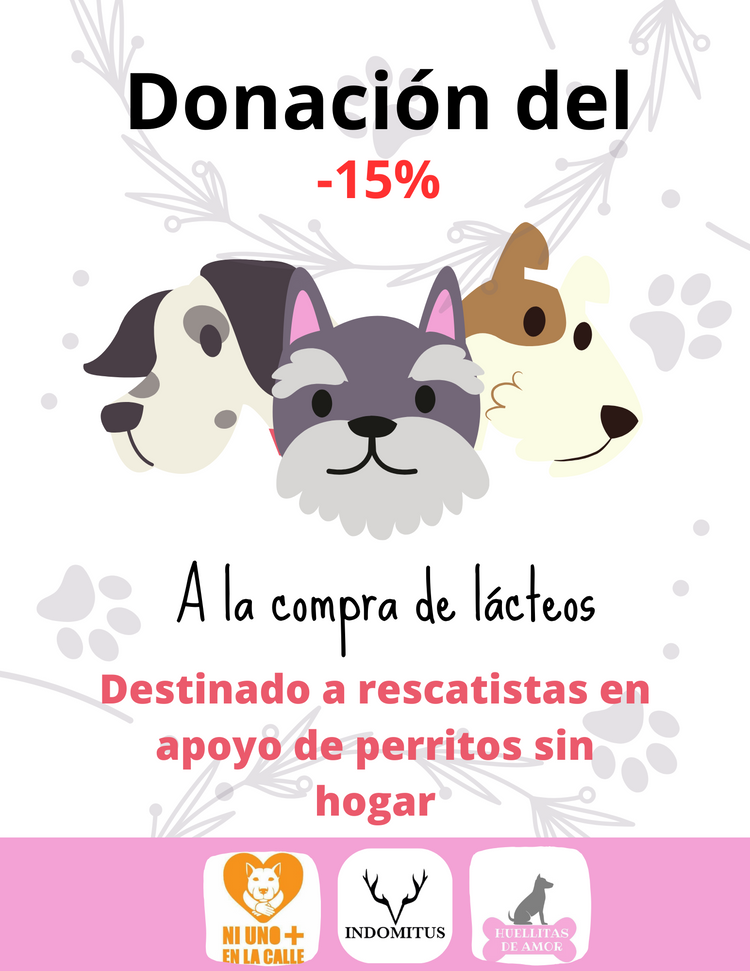 Patitas sin hogar 🐾