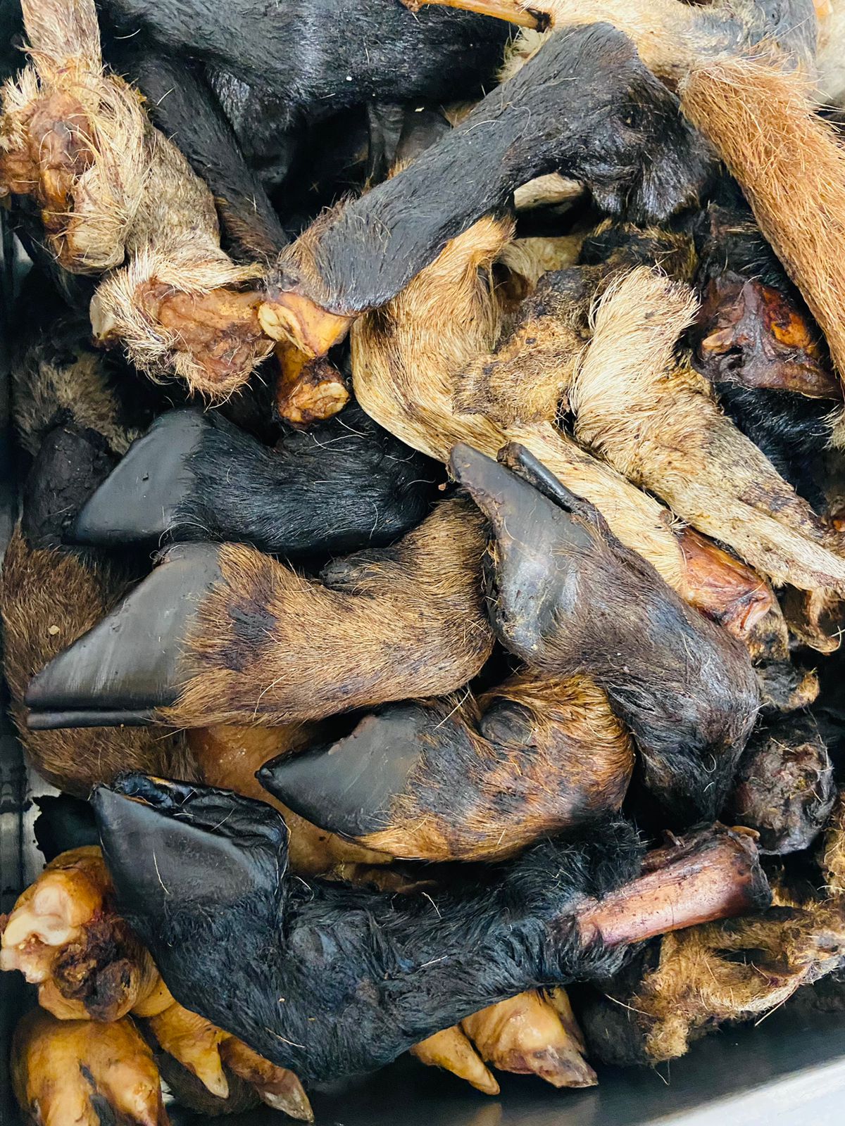 Premios deshidratados para perro (110–120 g)